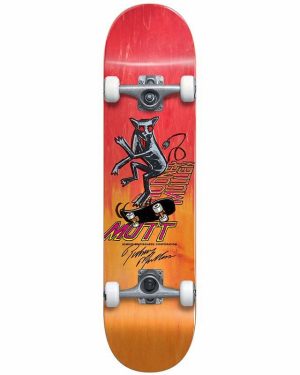 Almost – Mini Mutt Yth Premium 7.375″ – Skateboard Complete